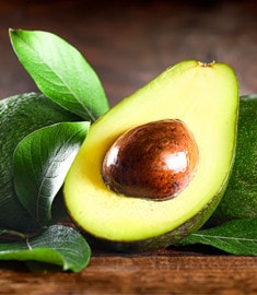 آنالیز گیاه