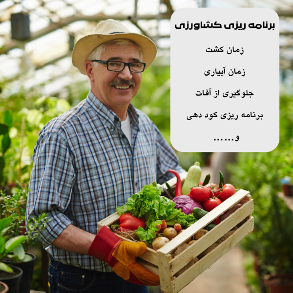 پکیج خدمات مشاوره ای